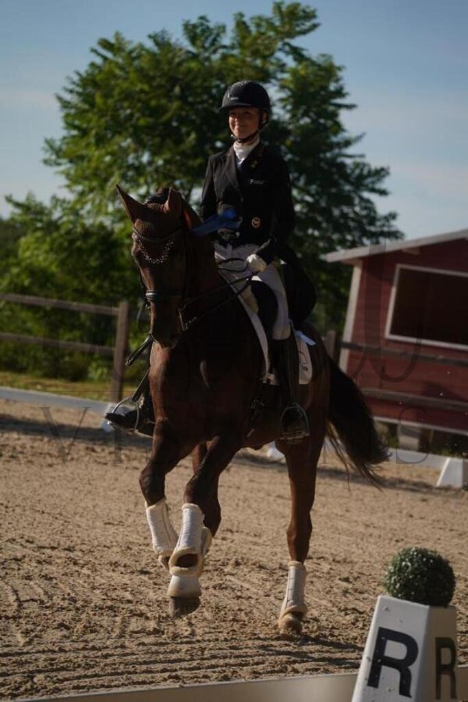 tgbhsonntag (2396) | d.tail Visions - Shop - Realisiert mit Pictrs.com