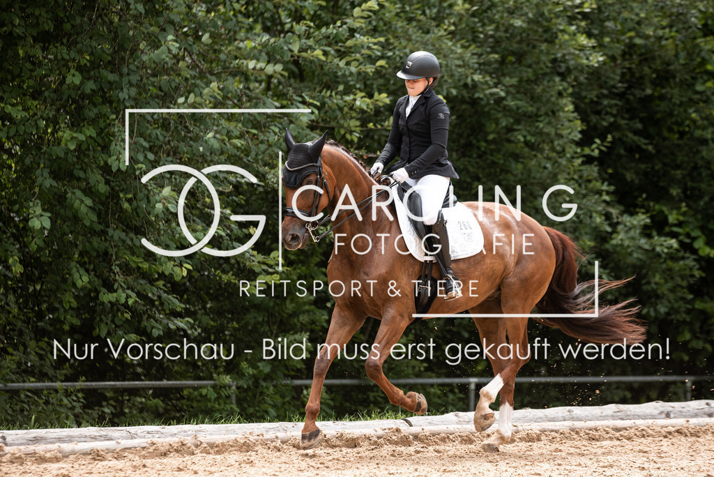 DSC_7898 | Turnierfotografin Carolin Gieschke, Turnierfotografie Carolin G Fotografie, Turnierfotos Kirchheim/Teck, Esslingen, Stuttgart, Bodenseekreis
