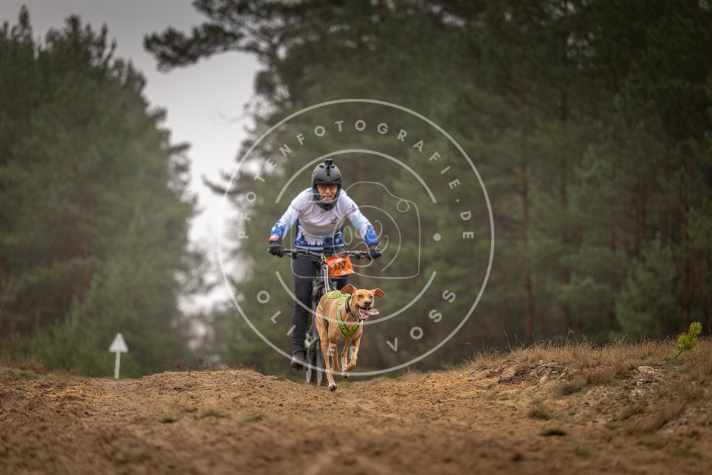Pfotenfotografie_DV3A3485 | Hundefotografie, Tierfotograf, Pfotenfotografie, Fotoshooting Hund, Hunde Portrait, Hundesport, Hundeportraits, Heideshooting, Hunde, Sportfotograf, Hundefotograf, Turnierhundsport, THS,  - Realisiert mit Pictrs.com