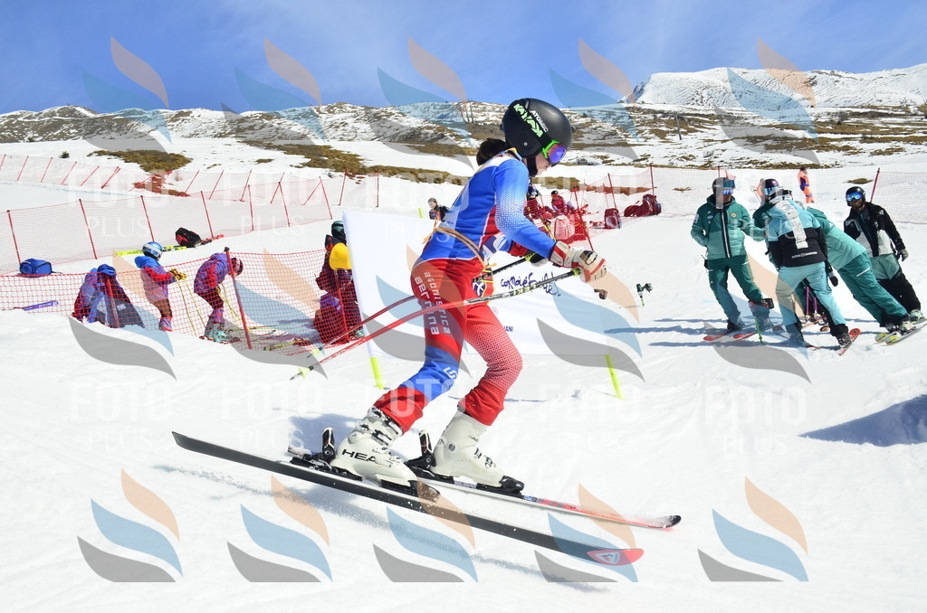 _ELE0769 | holidayphoto