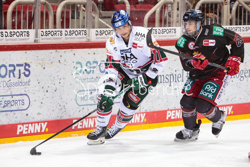 Duesseldorfer EG - Augsburger Panther | Adam PAYERL (AEV #11) im Duell mit Luca ZITTERBART (DEG #43)