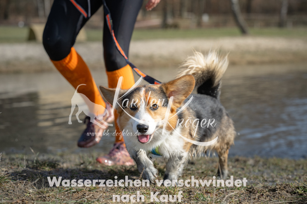 1313_ZZ95335 | kk-dogfotos