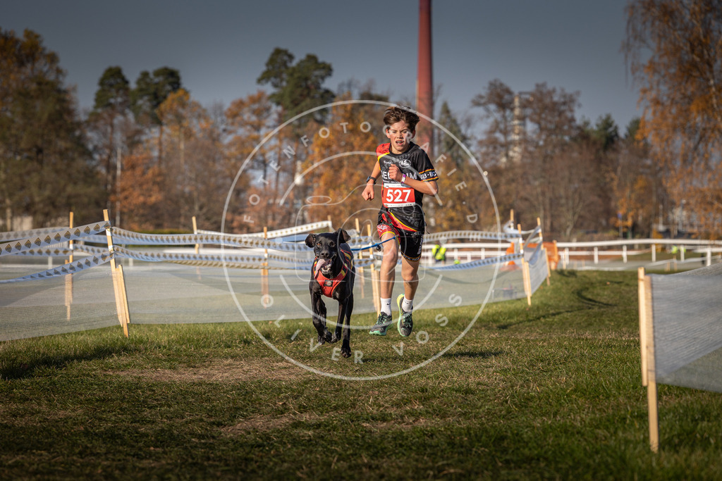 CaniXpix_0L8A8737 | Hundefotografie, Tierfotograf, Pfotenfotografie, Fotoshooting Hund, Hunde Portrait, Hundesport, Hundeportraits, Heideshooting, Hunde, Sportfotograf, Hundefotograf, Turnierhundsport, THS,  - Realisiert mit Pictrs.com