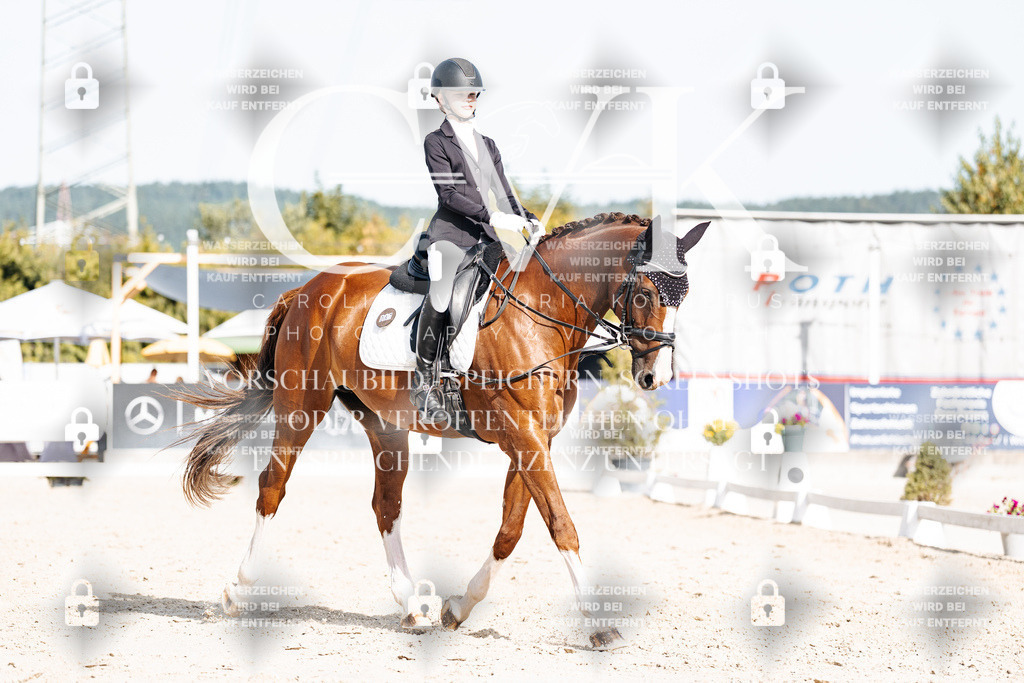 CK905571 | Turnierfotografie Pferdefotografie Trier Rheinland-Pfalz Pferdesport Reitsport Tierfotografie Sportfotografie Pferdevideo Pferdevideografie Equestrianvideography equestrianphotography  - Realisiert mit Pictrs.com