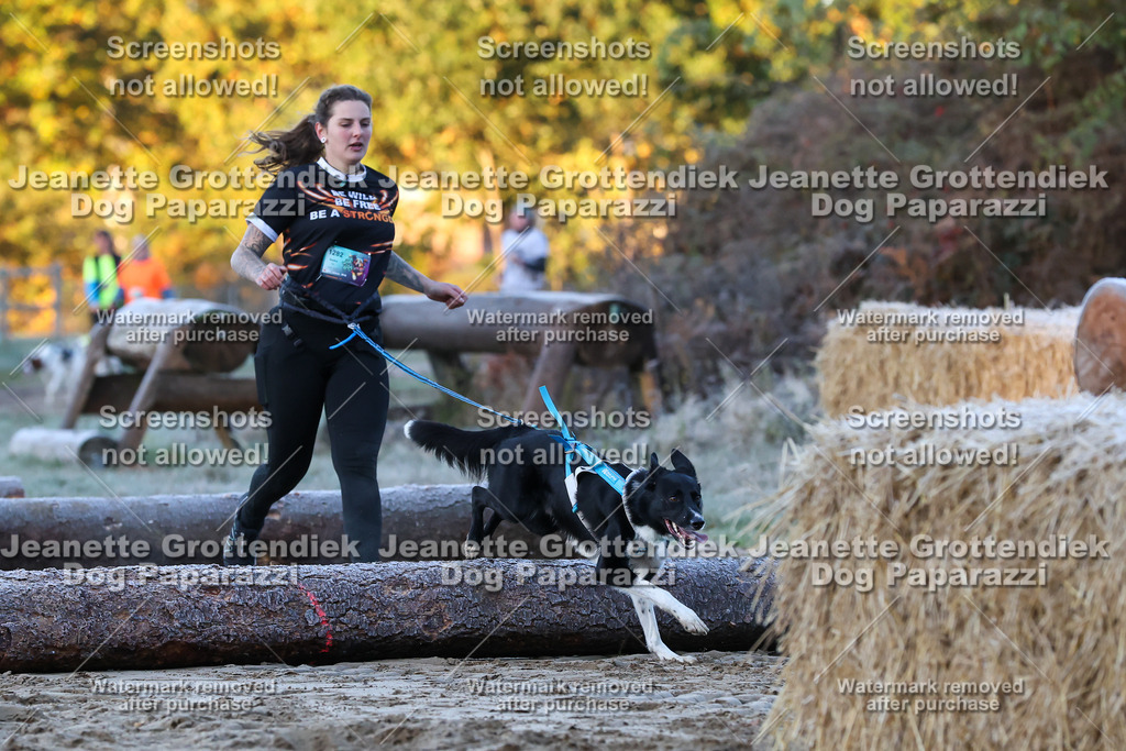 Dog Paparazzi - Strongdog 10-25-267 | Dog Paparazzi Jeanette Grottendiek Fotografie & Videografie - Realisiert mit Pictrs.com