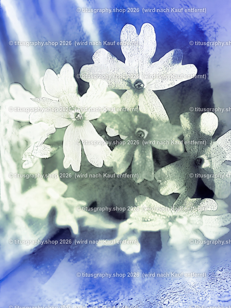 titusgraphy_P8030028_pe23-vz-ln | titusgraphy-shop: Geschenkideen mit Qualitätsfotos. titusgraphy-shop: gift ideas with quality photos. titusgraphy-shop: idées cadeaux avec photos de qualité.  - Realisiert mit Pictrs.com