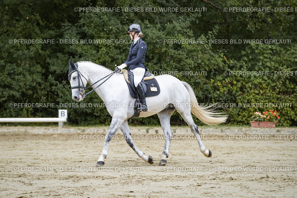 DSC08487 | Pferdegrafie