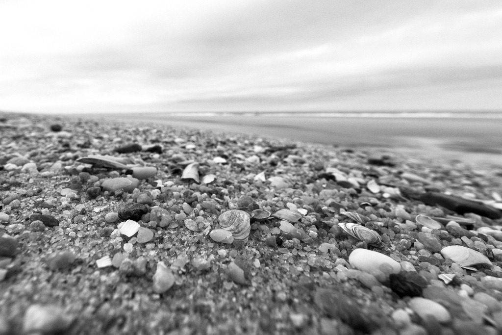 Sylt | Simone Sonderegger Photography