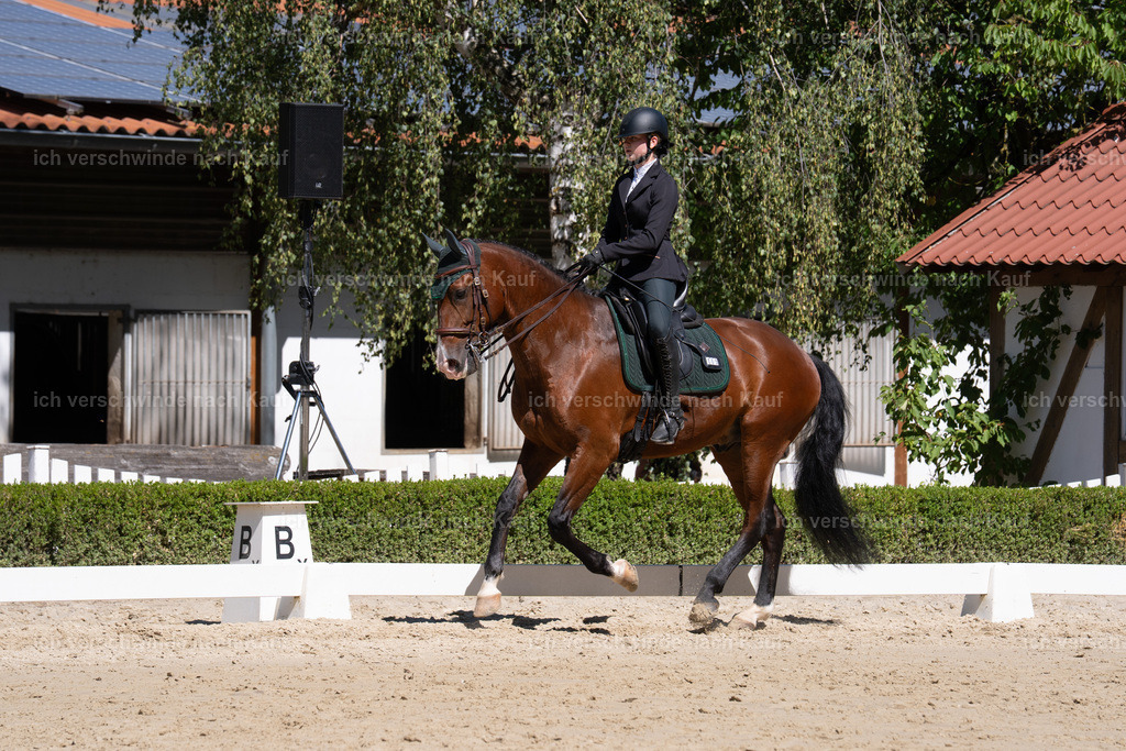 __105_sinafilmart_IN07932 | working equitationturnier fotograf videograf stoibphotography marixx film working equitation deutschland reitsport turnierfotografie eventfotografie equestrian events