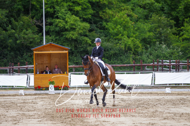 DKP47963 | Turnierfotos kaufen im Webshop von Daniel Kuhl Photography – entdecke professionelle Reitsportfotos aus Turnieren & Events. Hochwertige Turnierbilder online bestellen & sichern. Jetzt Fotos von Reitsportturnieren kaufen!