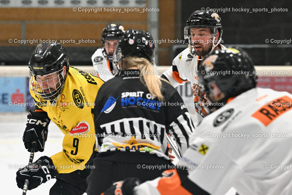 EC Spittal Hornets vs. USC Piraten Velden 7.2.2024 | #9 Essmann Kevin, #90 Edlinger Patrick, Klemm Anja Referee