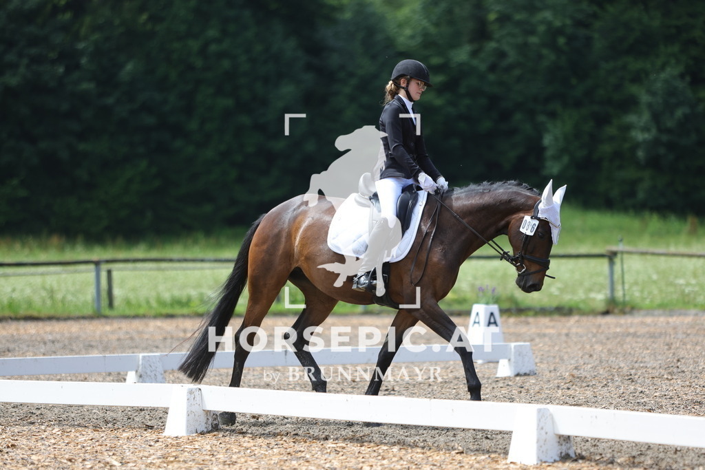 0P6A0423 | Willkommen bei Brunnmayr - Design & Fotografie – Ihrem Spezialisten für Reitturniere und Pferdeveranstaltungen in Oberösterreich, Salzburg und Bayern! Seit über 17 Jahren sind wir leidenschaftlich dabei.