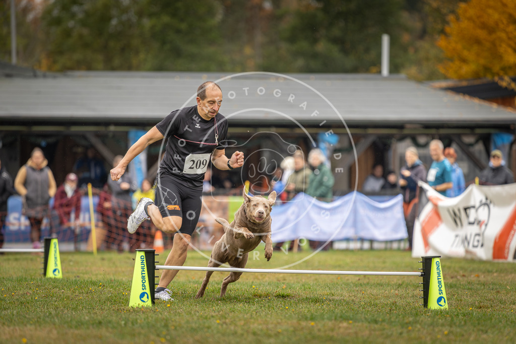Pfotenfotografie_DV3A1852 | Hundefotografie, Tierfotograf, Pfotenfotografie, Fotoshooting Hund, Hunde Portrait, Hundesport, Hundeportraits, Heideshooting, Hunde, Sportfotograf, Hundefotograf, Turnierhundsport, THS,  - Realisiert mit Pictrs.com