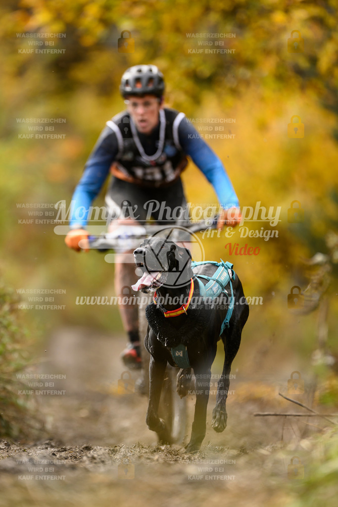 MompixPhotography_ICF_WC_2024_SA_Bike_-118 | PayLife
