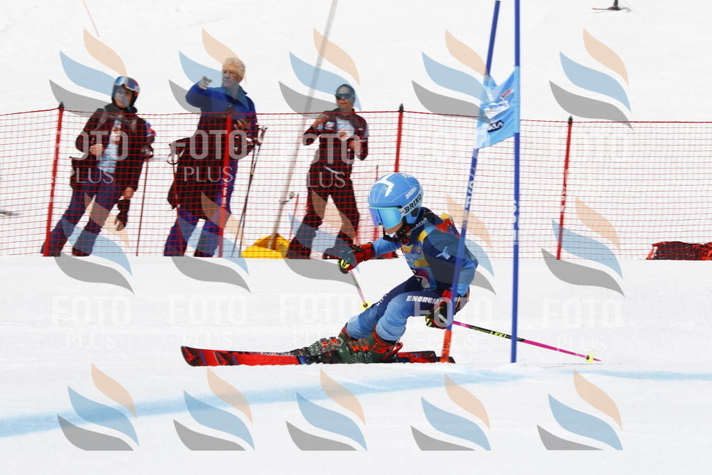 _U3G6046 | holidayphoto