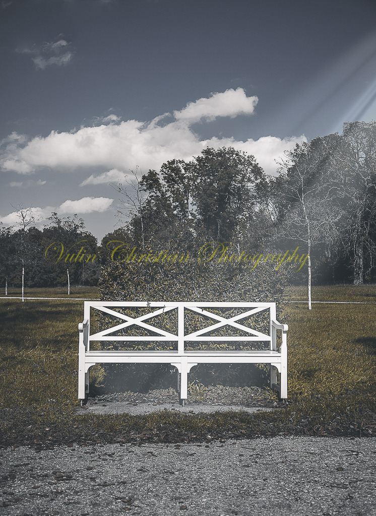 P 120 | Christian Vulin  - Realisiert mit Pictrs.com