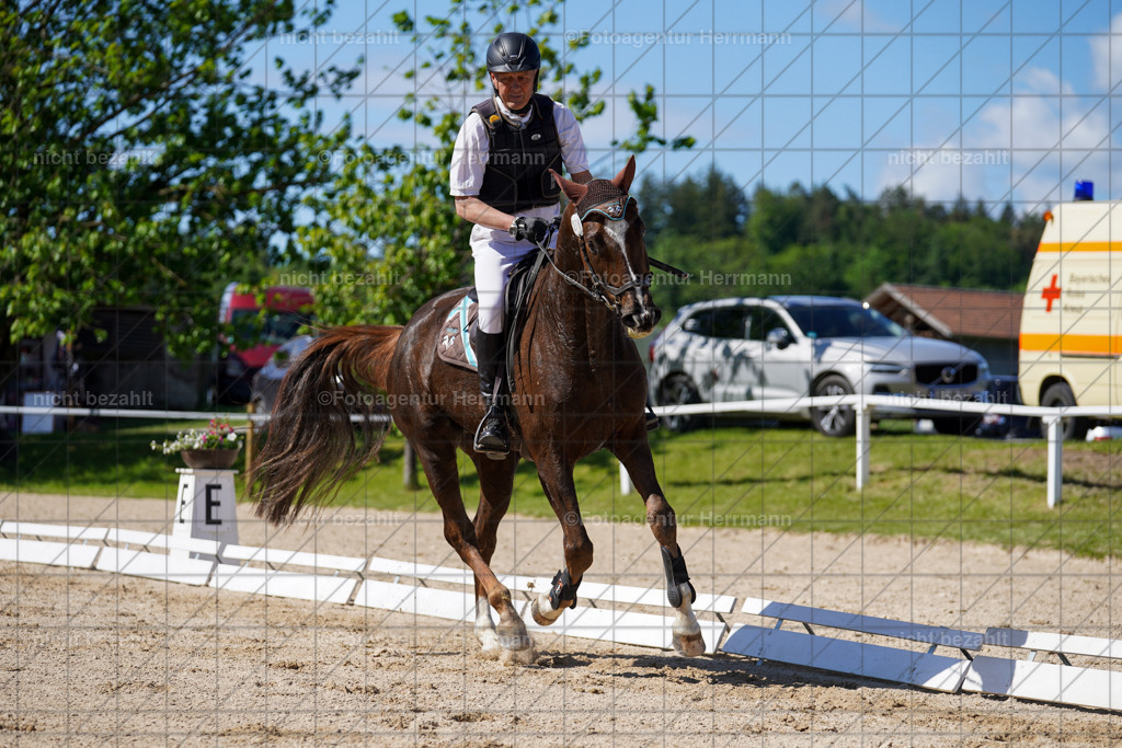 20240518-FAH03030 | rbilder, Turnierfotografen ayern, Fotoagentur Herrmann, Geländeturnier, Springbilder, Dressurbilder, Jungpferdefotograf