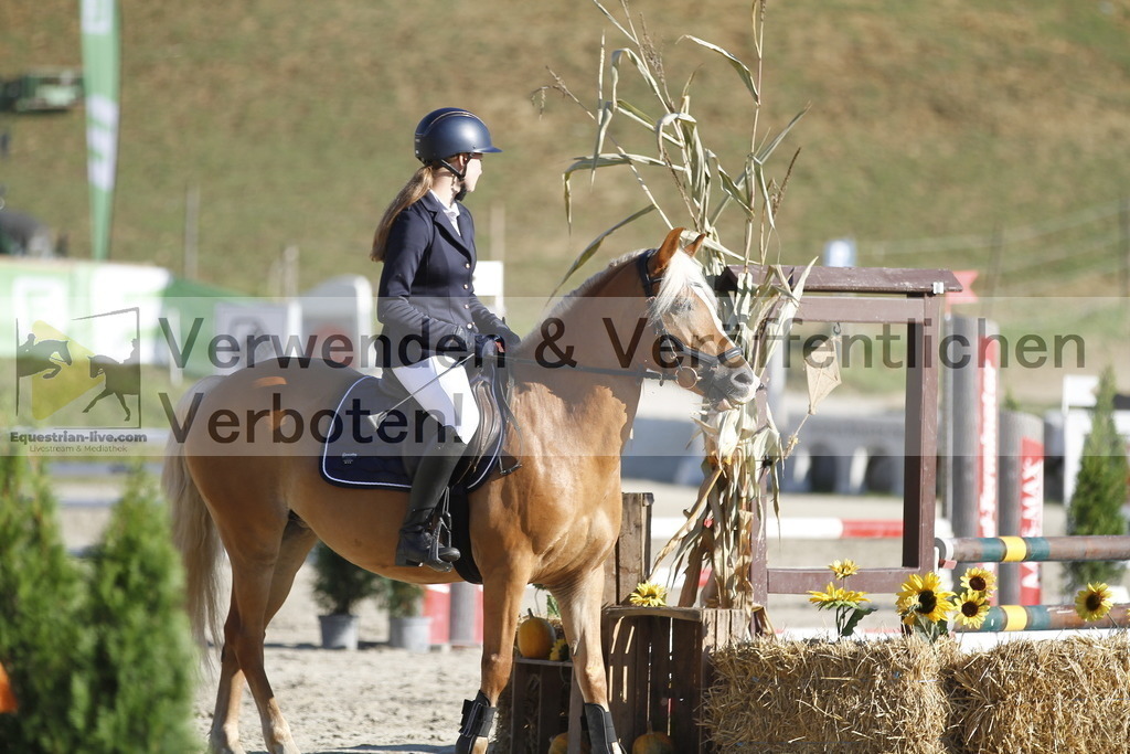_MG_1314 | equestrian-live-com