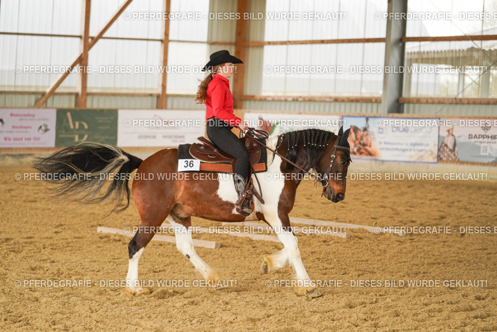 DSC04223 | Pferdegrafie