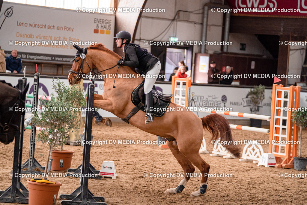 Kranichstein Tag 3-737 | dv-media-shop - Realisiert mit Pictrs.com