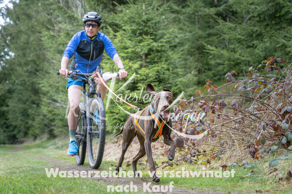 1312_ZZ94044 | kk-dogfotos