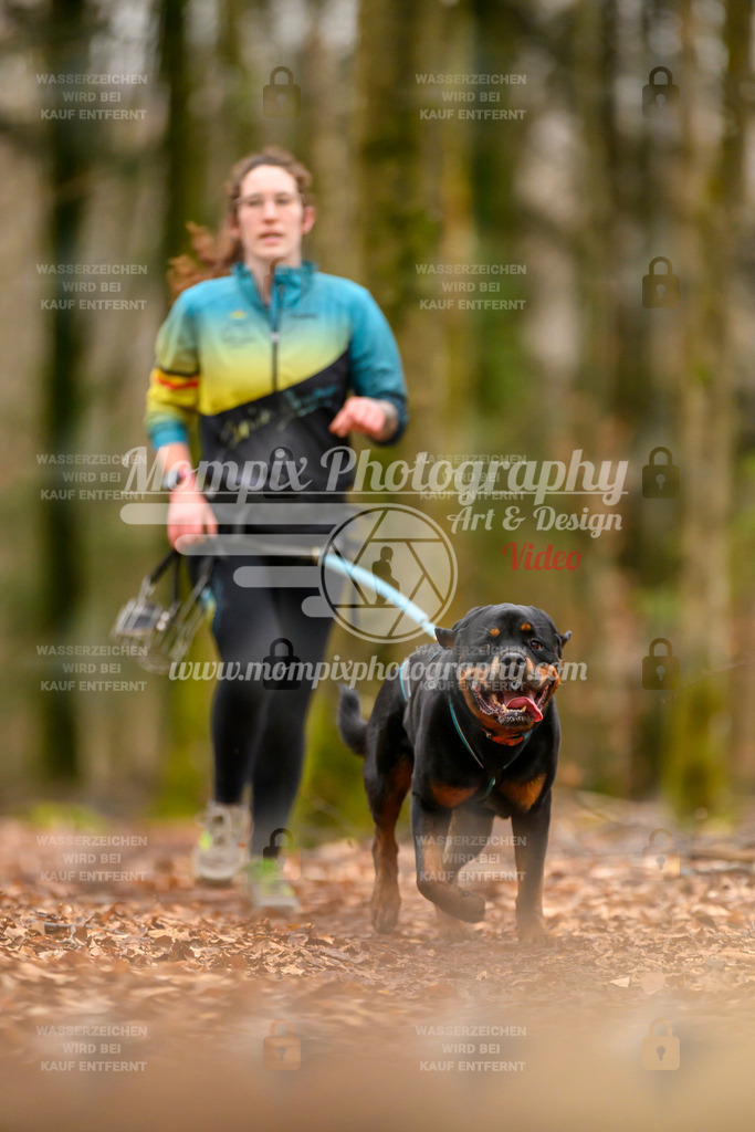 MompixPhotography_Habay2024_SA_Fun-74 | PayLife