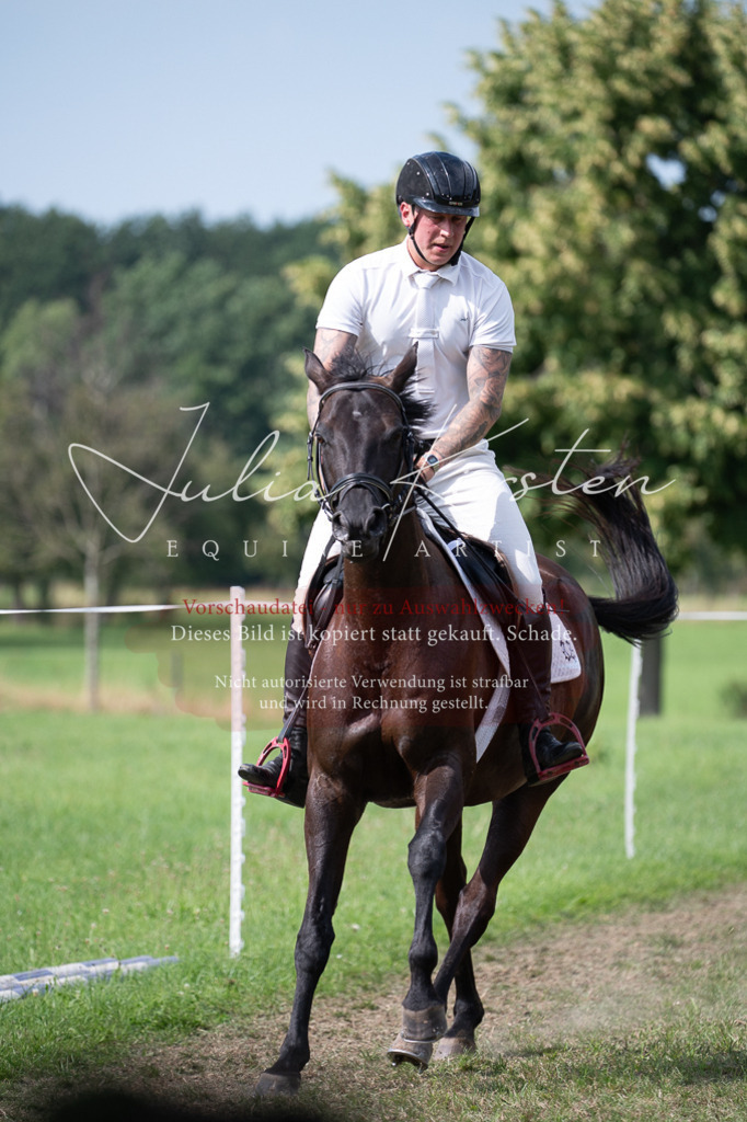 DSC_1007 | Pferde- und Turnierfotografie in Westsachsen. Pferdeportraits, Auftragszeichnungen und intuitive Kunst.