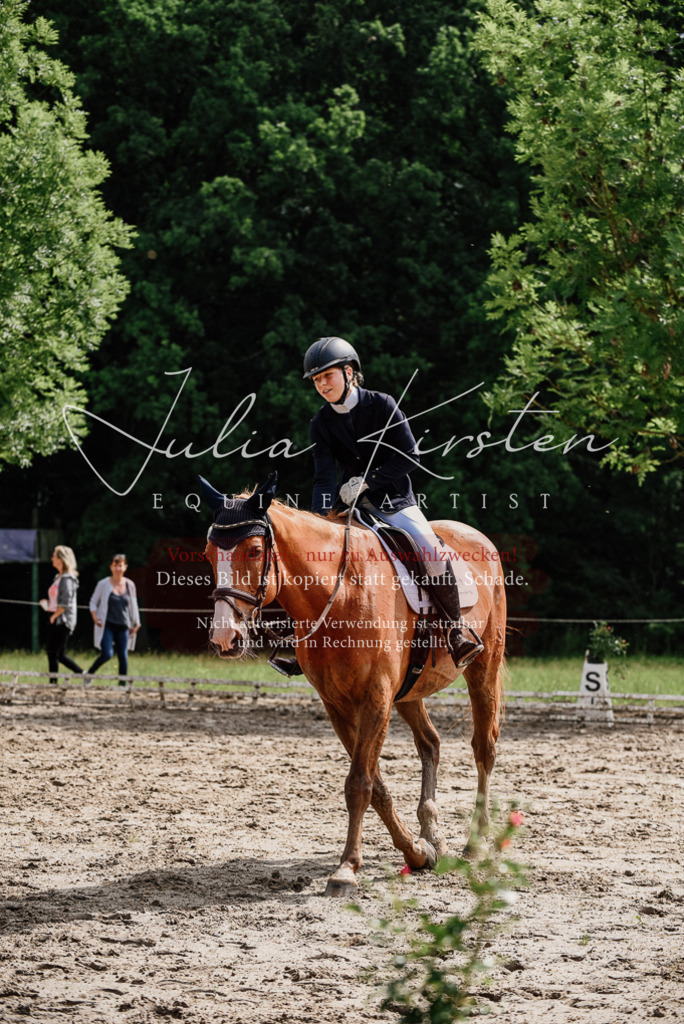 DSC_0056 | Pferde- und Turnierfotografie in Westsachsen. Pferdeportraits, Auftragszeichnungen und intuitive Kunst.