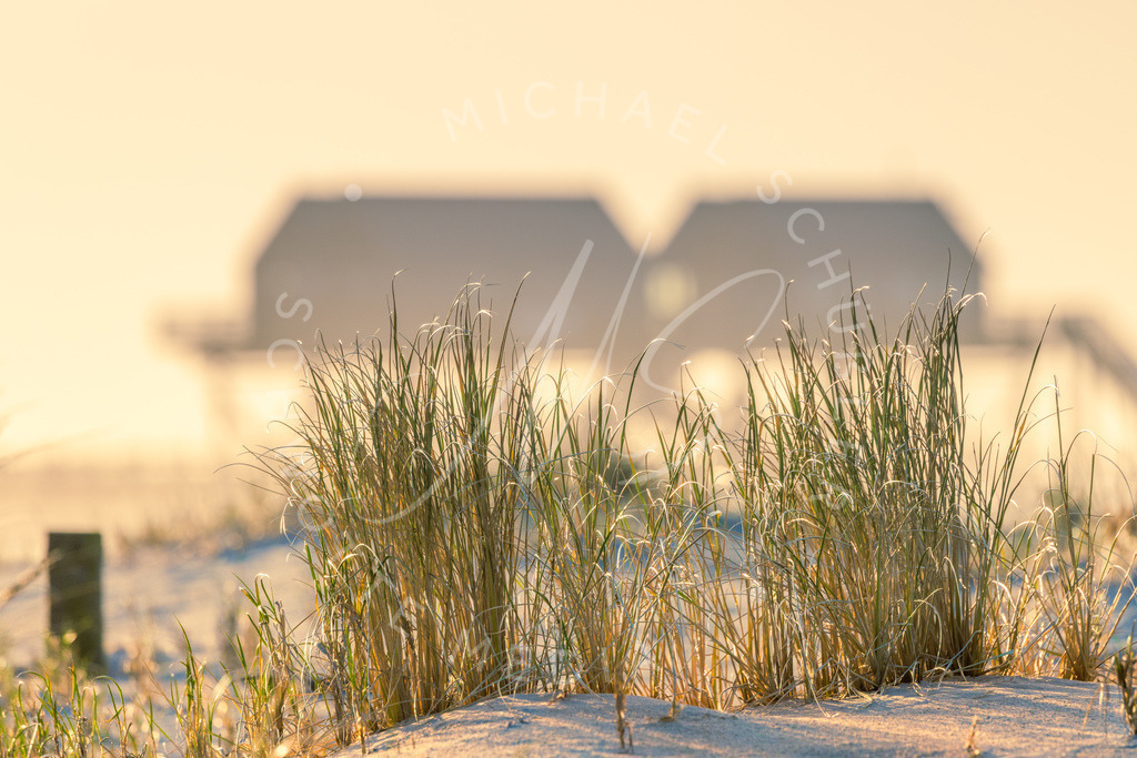 2024-01-27 SPO Duenen u Strand 020 | Schwotte Media - Realisiert mit Pictrs.com