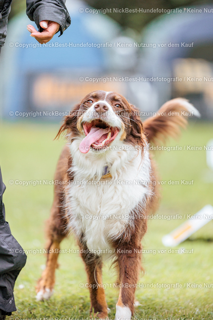 RO-Blumenthal-2026-Nickbest-Hundefotografie-2379 | Dein Hund! Dein Moment! Deine Erinnerungen! Hundefotografie in Bremen Blumenthal. Ich fange die besonderen Momente deines Vierbeiners ein – ob Indoor mit Blitzanlage oder in der freien Natur. Sicher dir dein Moment und dein Termin für eure Erinnerungen.