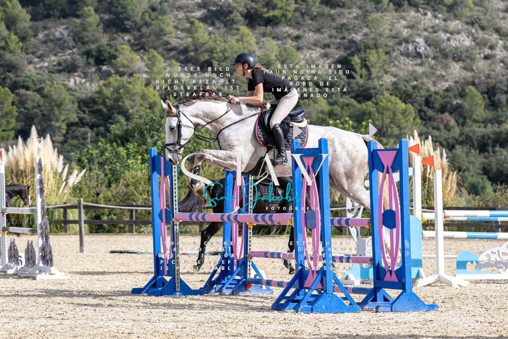 IMG_3347 | s-jay-photography - Realisiert mit Pictrs.com