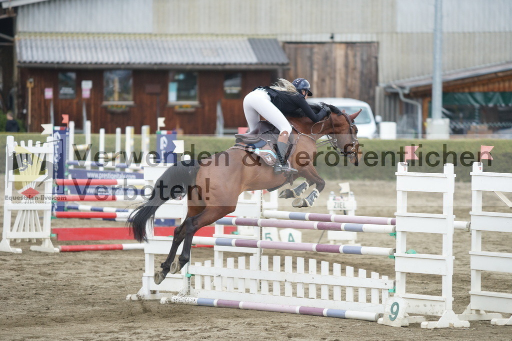 DSC01321 | equestrian-live-com