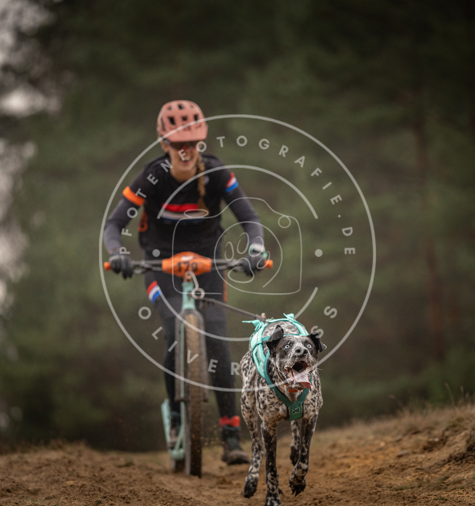 Pfotenfotografie_DV3A4475 | Hundefotografie, Tierfotograf, Pfotenfotografie, Fotoshooting Hund, Hunde Portrait, Hundesport, Hundeportraits, Heideshooting, Hunde, Sportfotograf, Hundefotograf, Turnierhundsport, THS,  - Realisiert mit Pictrs.com
