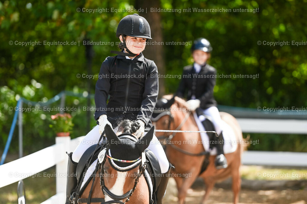 20230716_10-3_Reiter-WB Schritt - Trab - Galopp_0012 | equistock