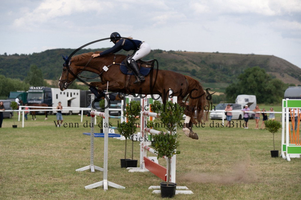 A7V02830 | Pferdefotograf