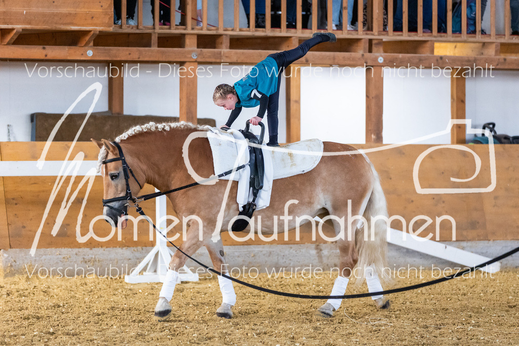 SS-Mini-012 | MomenTaufnahmen Pferdesportfotos