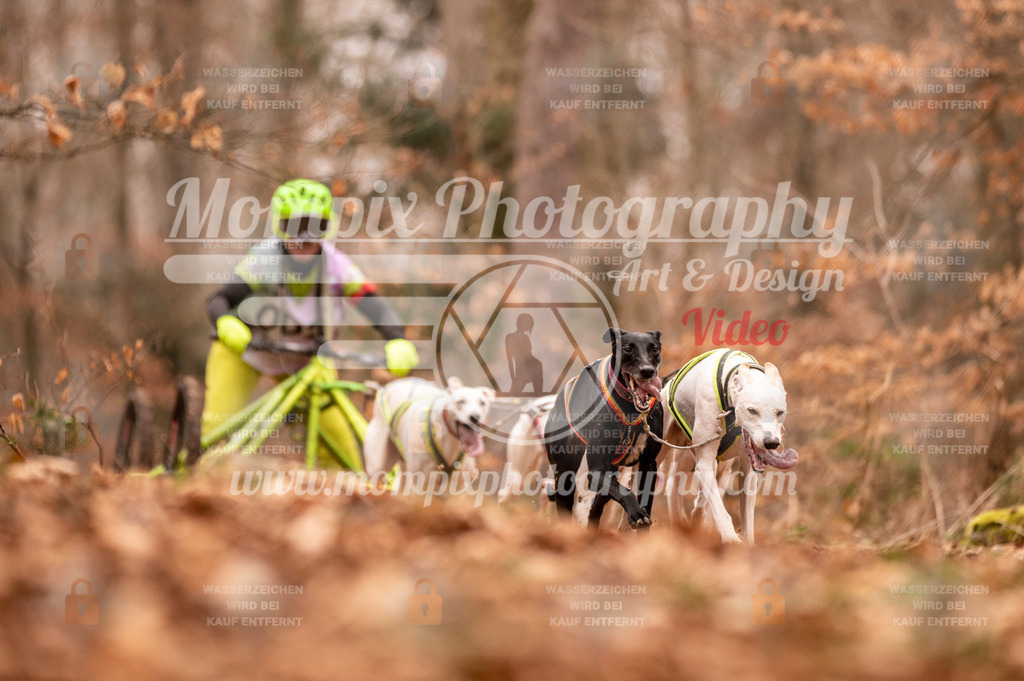 AKM_ST_2023_SAM_DR6-1 | PayLife