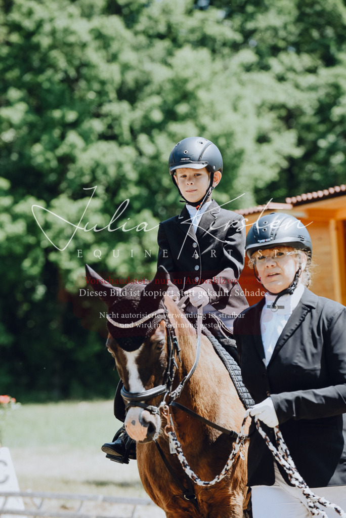 DSC_2119 | Pferde- und Turnierfotografie in Westsachsen. Pferdeportraits, Auftragszeichnungen und intuitive Kunst.