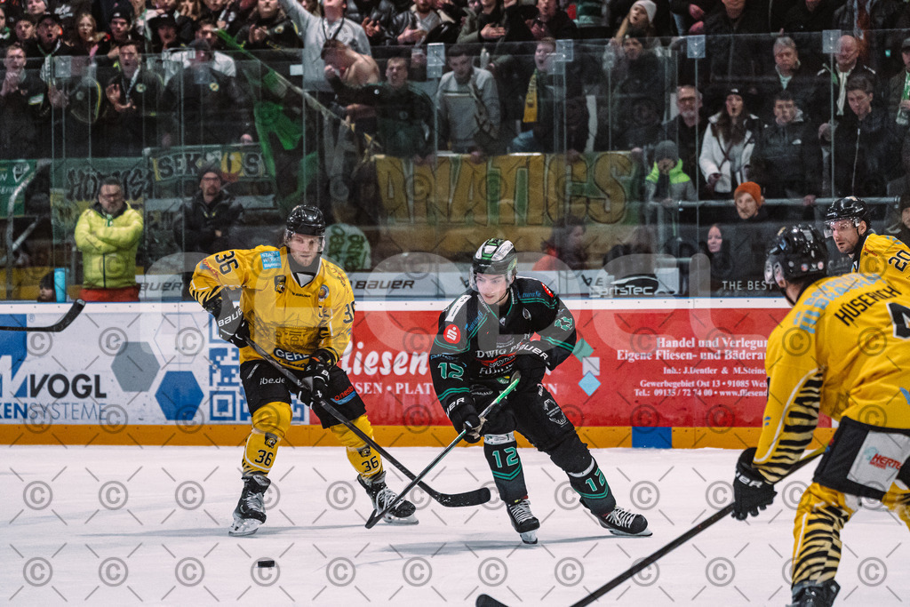 Alligators_vs_Bayreuth_16_01_2026-31 | Höchstadt Alligators Fotogalerie: Eishockey-Action aus Franken. Professionelle Spielfotos, Portraits & Stadionbilder zum Download. Jetzt entdecken! - Realisiert mit Pictrs.com