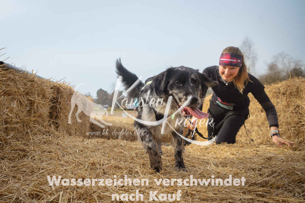 1020_ZZ94201 | kk-dogfotos