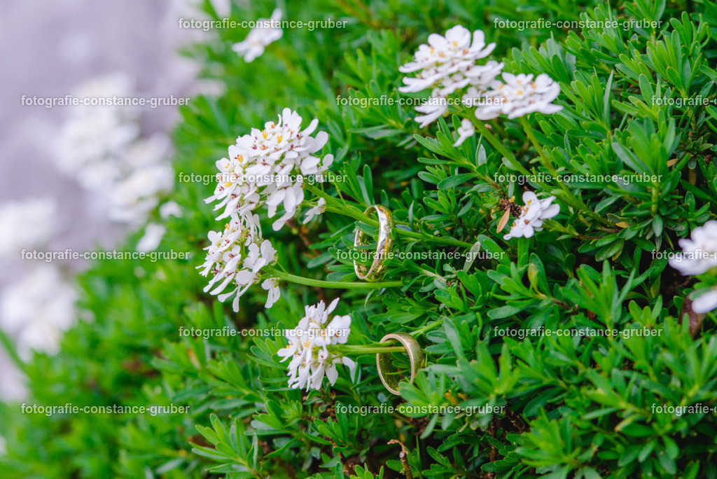 1018 | Fotografie Constance Gruber - Realisiert mit Pictrs.com