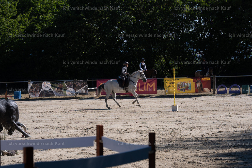 WL_SP_70_SinaFilmArt_IN05801 | working equitationturnier fotograf videograf stoibphotography marixx film working equitation deutschland reitsport turnierfotografie eventfotografie equestrian events