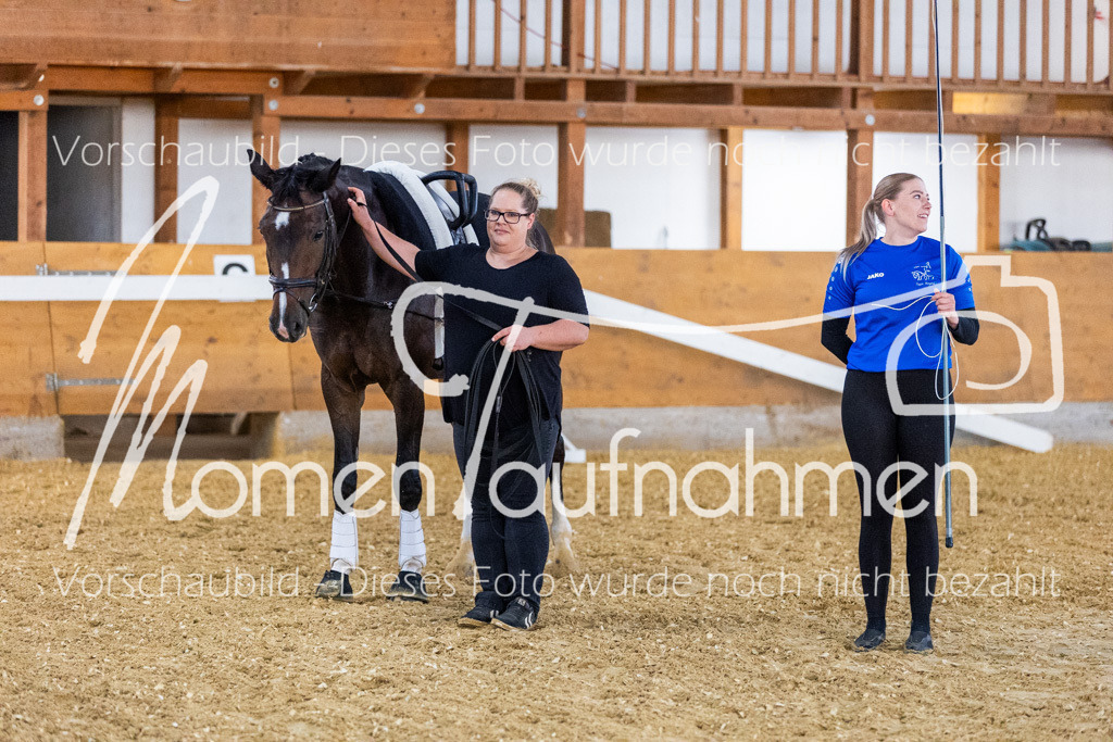 VTD-Voltigierpferde-050 | MomenTaufnahmen Pferdesportfotos