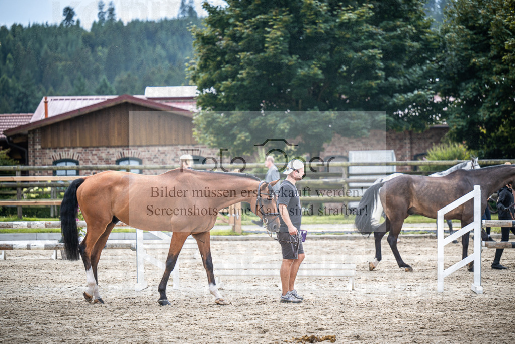 DOS_0041 | Entdecke hochwertige Reitturnierfotos von Foto Oger. Professionell, emotional und authentisch – jetzt Lieblingsmomente im Shop bestellen.Deutschlandweite Turnierfotografie. - Realisiert mit Pictrs.com