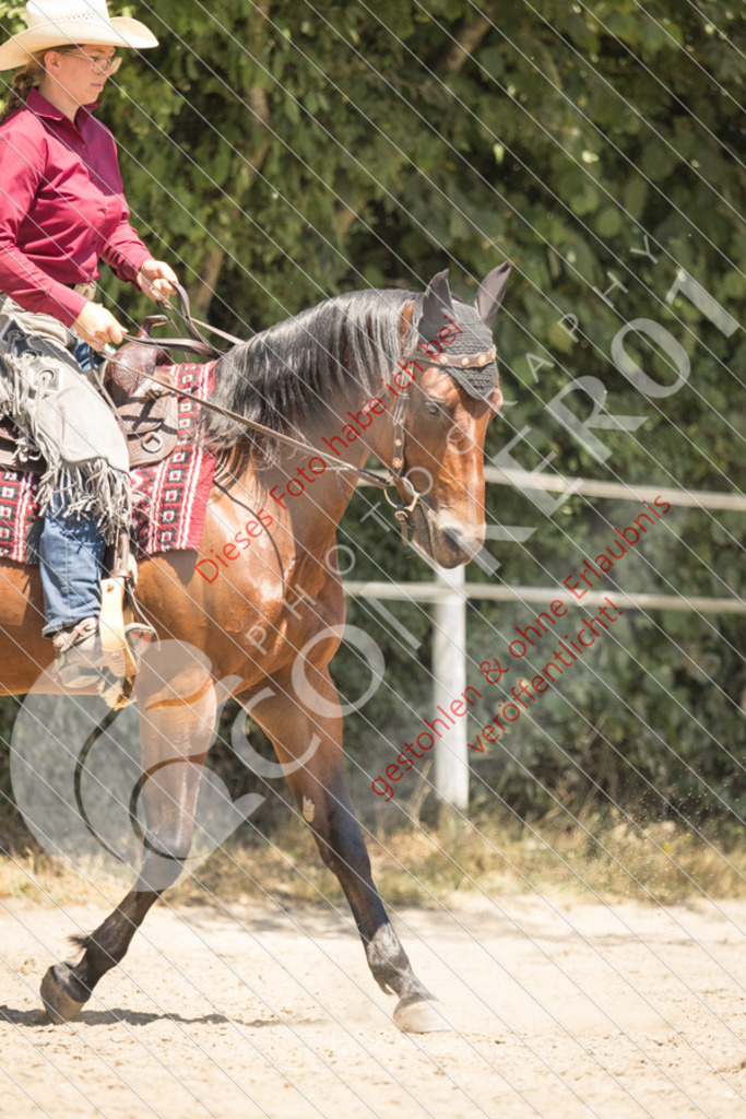 IMG_9834 | Sport-, Event- und Tierfotos in Profiqualität. Einfach auswählen, bestellen und herunterladen. Dein Moment – perfekt festgehalten.