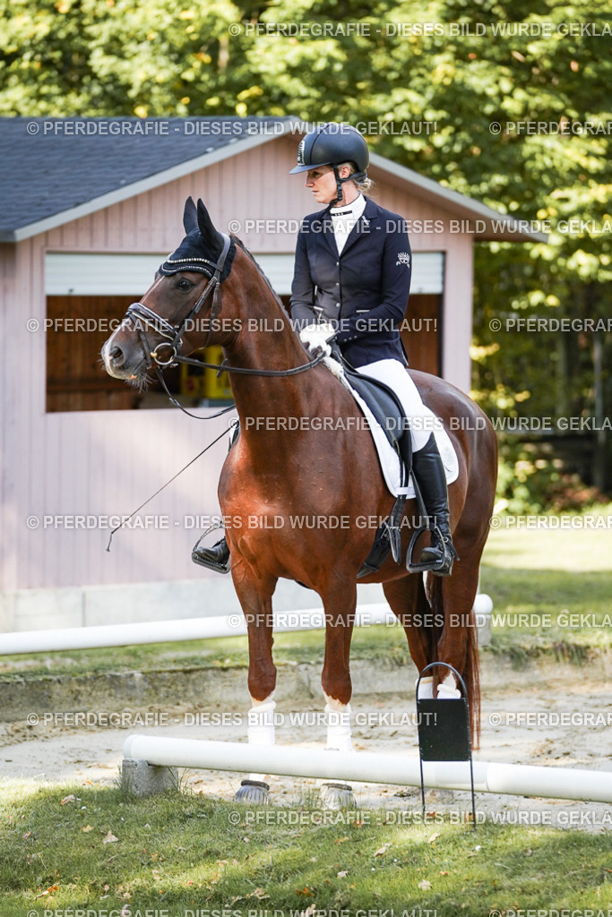 DSC07090 | Pferdegrafie