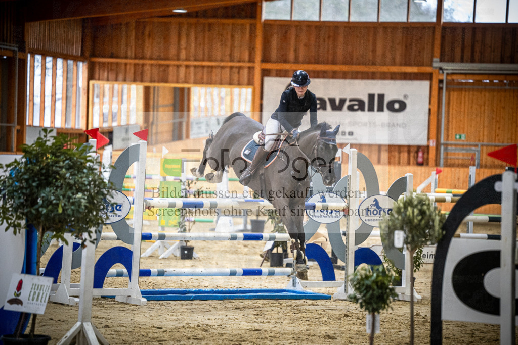 DOS_0864 | Entdecke hochwertige Reitturnierfotos von Foto Oger. Professionell, emotional und authentisch – jetzt Lieblingsmomente im Shop bestellen.Deutschlandweite Turnierfotografie. - Realisiert mit Pictrs.com