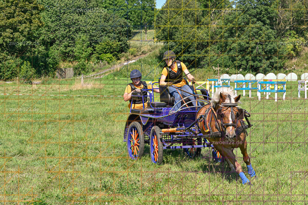 30 Jahre RFV Pulsnitz e.V., Pulsnitz am 09.08.2026 | 30Jahre Reit- und Fahrverein Pulsnitz e.V., Pulsnitz am 08.08.2026Zur 28. breitensportlichen Veranstaltung des RFV Pulsnitz e.V. fanden verschiedene Wettbewerbe in nahezu allen Disziplinen des Pferdesport statt.- Geländefahr-Wettbewerb - Realisiert mit Pictrs.com