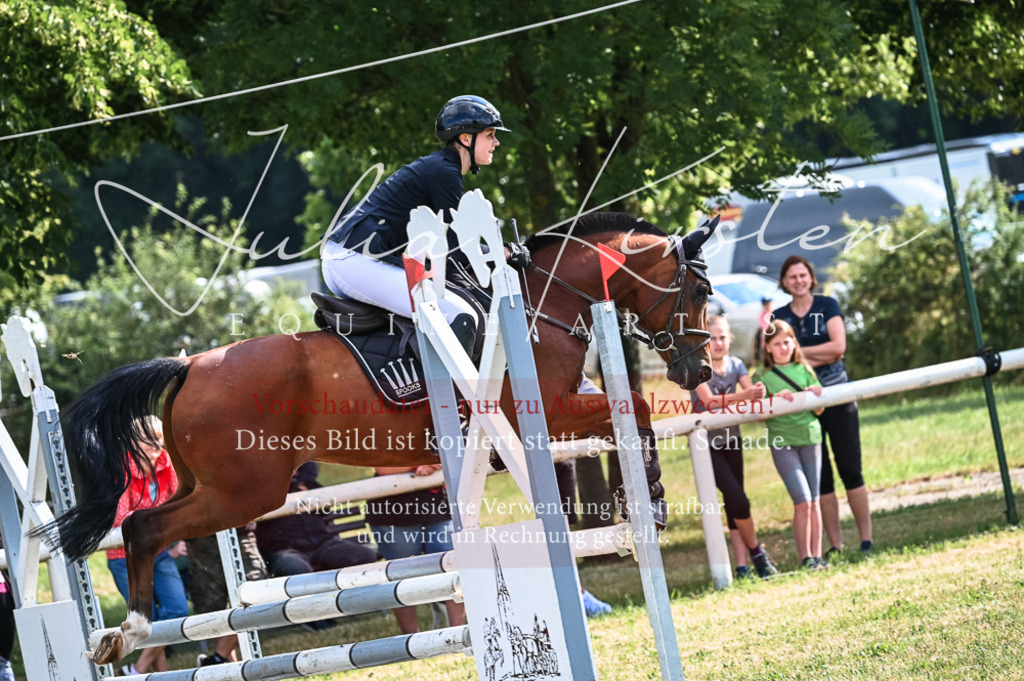 DSC_7901 | Pferde- und Turnierfotografie in Westsachsen. Pferdeportraits, Auftragszeichnungen und intuitive Kunst.