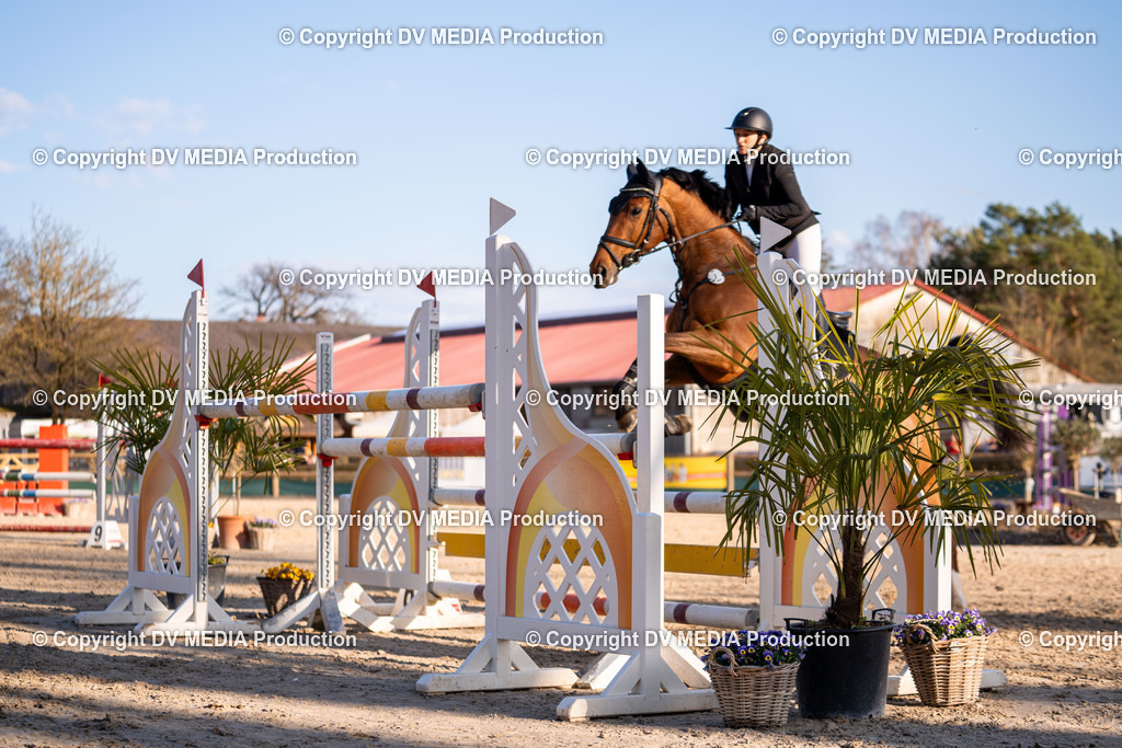 Kranichstein Tag 2-1116 | dv-media-shop - Realisiert mit Pictrs.com